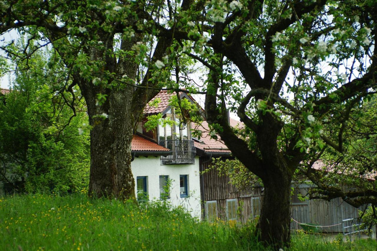 Moosmuehle Allgaeu Untrasried Esterno foto